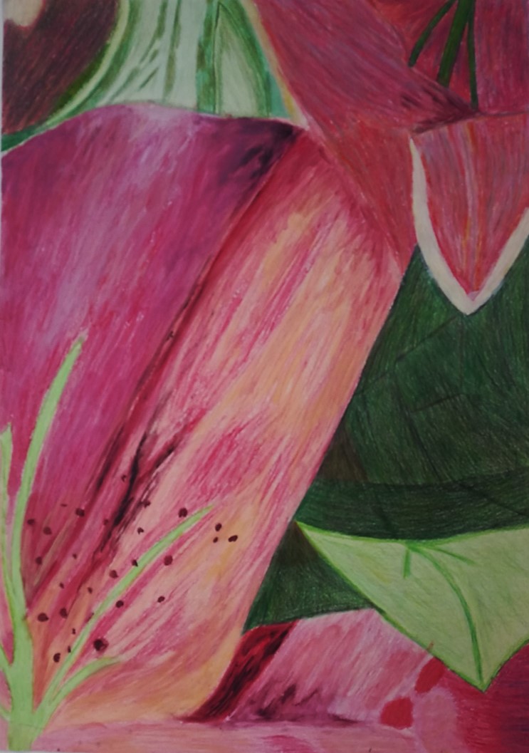 GCSE Artwork