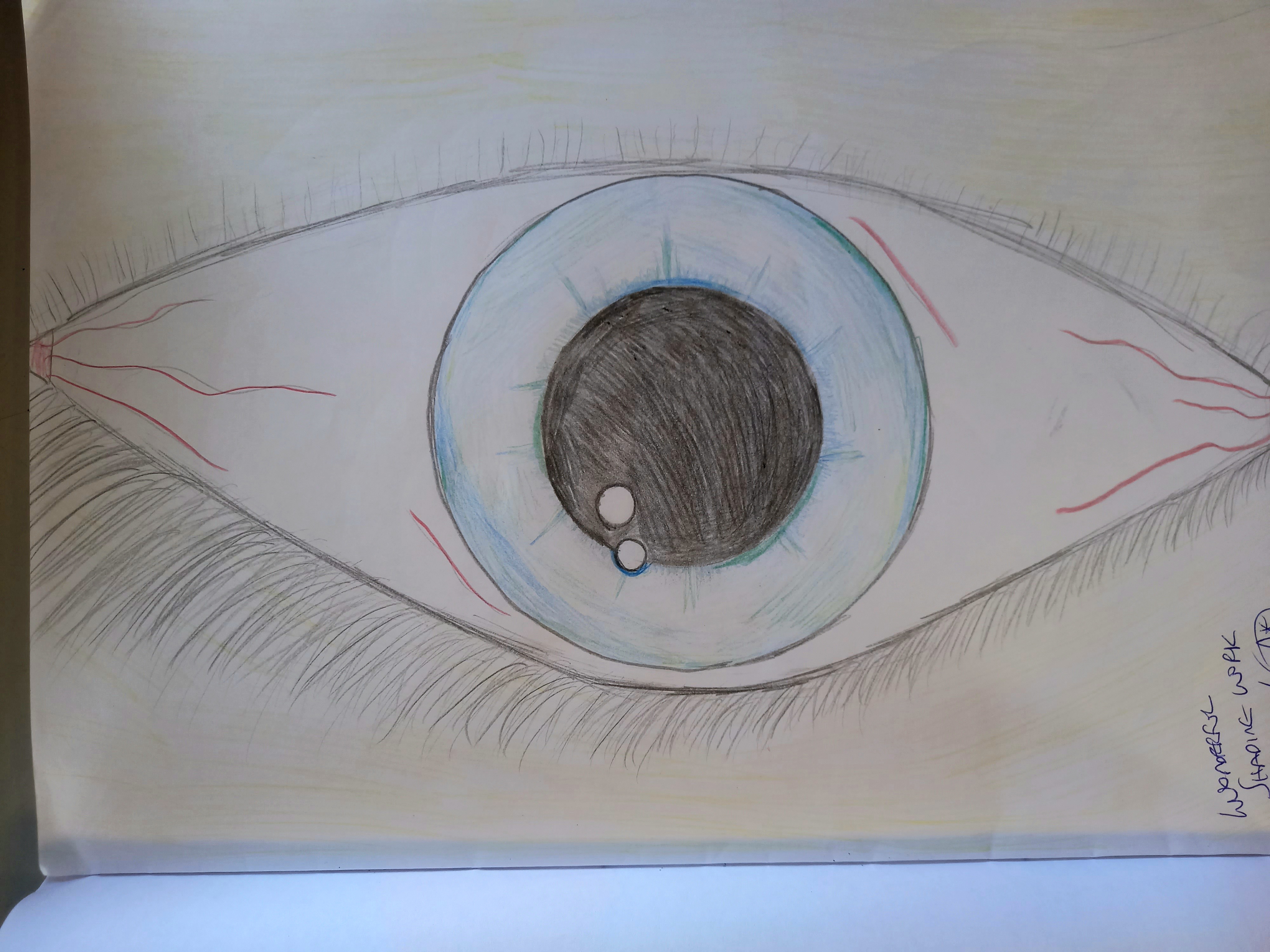Year 8 Artwork