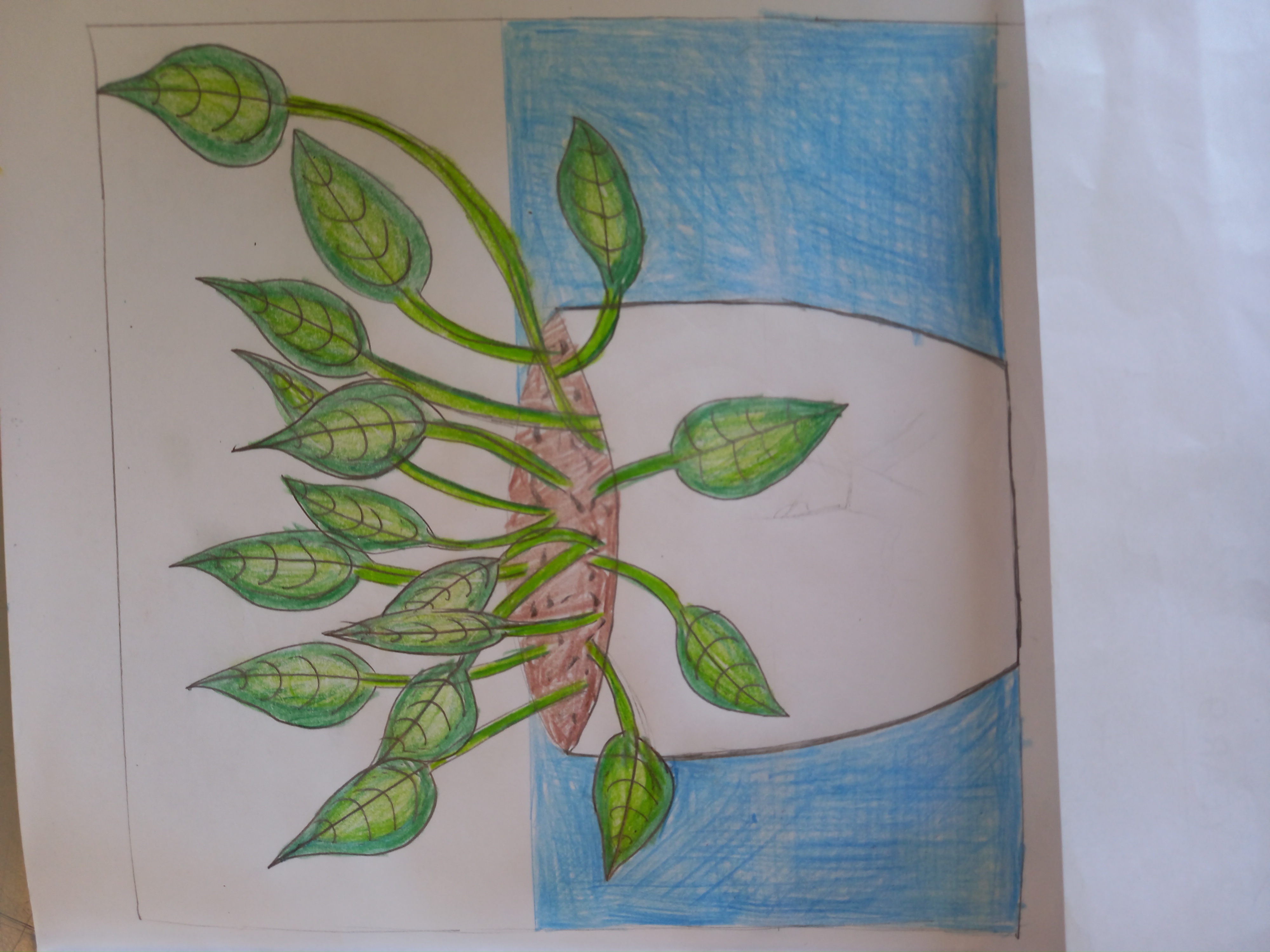 Year 8 Artwork